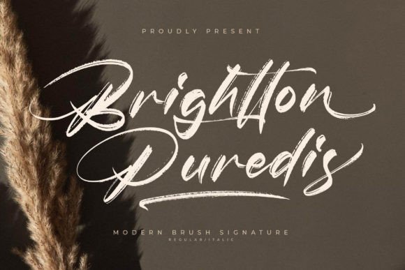 Brightton Puredis: The Ultimate Script Font Guide